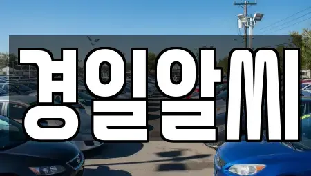 서울 송파구 석촌동 렌트카 전문 경일알씨