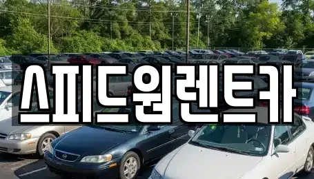 서울 송파구 석촌동 렌트카 전문 스피드원렌트카