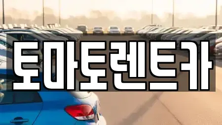 서울 송파구 석촌동 장기렌트카 전문 토마토렌트카