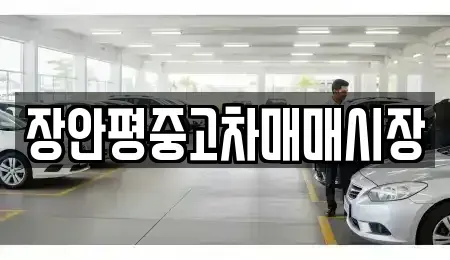 서울 송파구 석촌동 중고차매매 전문 장안평중고차매매시장