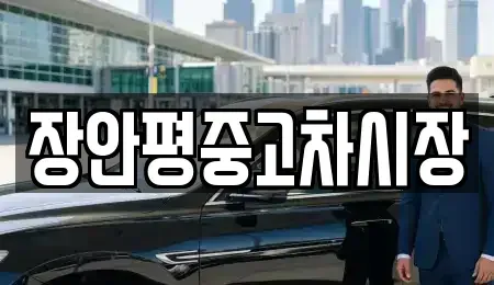 서울 송파구 석촌동 중고차매매 전문 장안평중고차시장