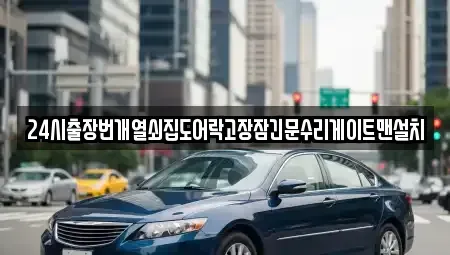 서울 송파구 석촌동 중고차매입 전문 24시출장번개열쇠집도어락고장잠긴문수리게이트맨설치