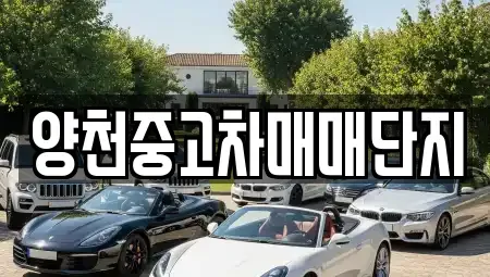 서울 영등포구 문래동6가 중고차 전문 양천중고차매매단지
