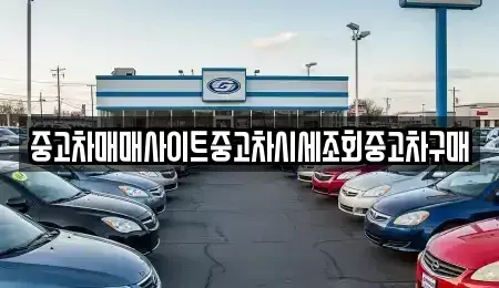 서울 영등포구 문래동6가 중고차 전문 중고차매매사이트중고차시세조회중고차구매