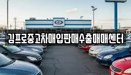 서울 영등포구 문래동6가 중고차매입 전문 김프로중고차매입판매수출매매센터