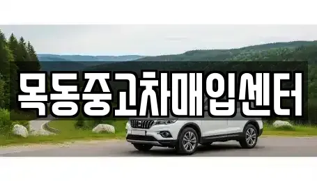 서울 영등포구 문래동6가 중고차매입 전문 목동중고차매입센터