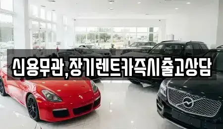 서울 은평구 신사동 장기렌트카 전문 신용무관,장기렌트카즉시출고상담
