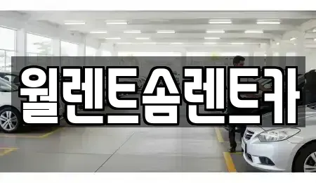 서울 은평구 역촌동 렌트카 전문 월렌트솜렌트카