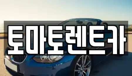 서울 은평구 역촌동 렌트카 전문 토마토렌트카