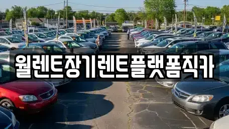 서울 은평구 역촌동 장기렌트카 전문 월렌트장기렌트플랫폼직카