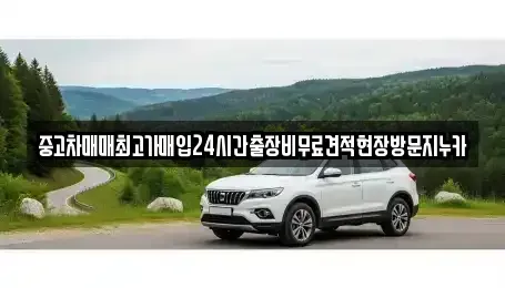 서울 은평구 역촌동 중고차 전문 중고차매매최고가매입24시간출장비무료견적현장방문지누카