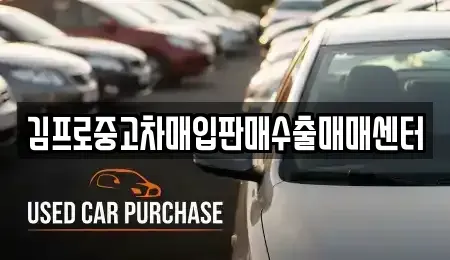 서울 은평구 역촌동 중고차매입 전문 김프로중고차매입판매수출매매센터