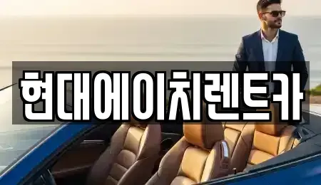 서울특별시 강남구 개포동 렌트카 전문 현대에이치렌트카