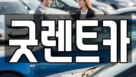 서울특별시 강남구 개포동 장기렌트카 전문 굿렌트카