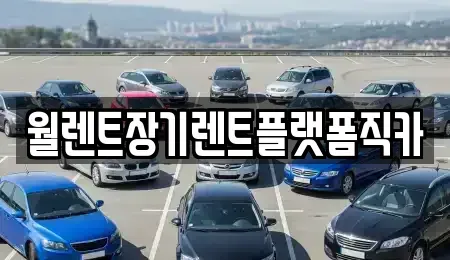 서울특별시 강남구 개포동 장기렌트카 전문 월렌트장기렌트플랫폼직카