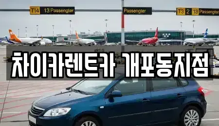 서울특별시 강남구 개포동 장기렌트카 전문 차이카렌트카 개포동지점