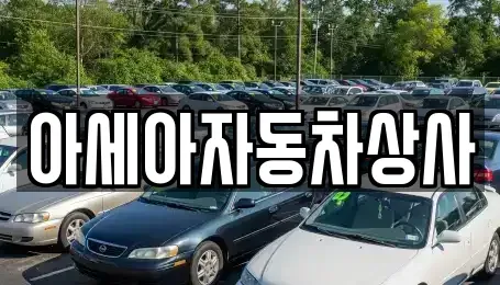서울특별시 강남구 개포동 중고차 전문 아세아자동차상사