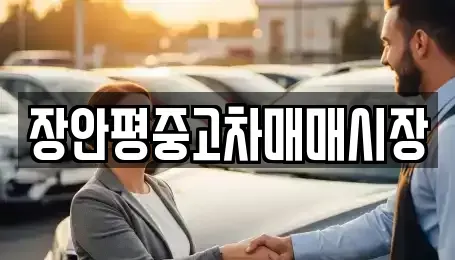 서울특별시 강남구 개포동 중고차 전문 장안평중고차매매시장