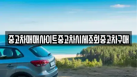 서울특별시 강남구 개포동 중고차 전문 중고차매매사이트중고차시세조회중고차구매
