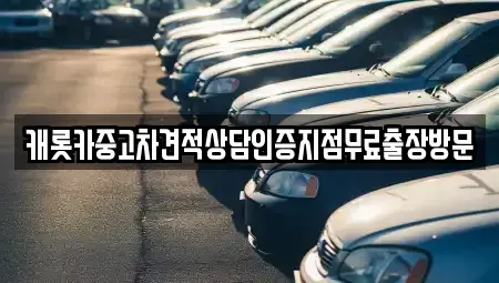 서울특별시 강남구 개포동 중고차 전문 캐롯카중고차견적상담인증지점무료출장방문