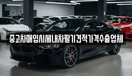 서울특별시 강남구 개포동 중고차매입 전문 중고차매입시세내차팔기견적가격수출업체