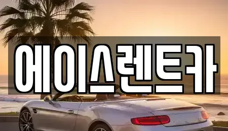 서울특별시 강서구 외발산동 렌트카 전문 에이스렌트카
