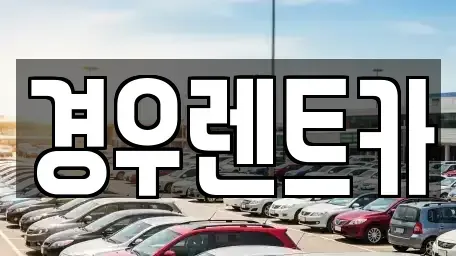 서울특별시 강서구 외발산동 장기렌트카 전문 경우렌트카