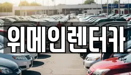 서울특별시 강서구 외발산동 장기렌트카 전문 위메인렌터카
