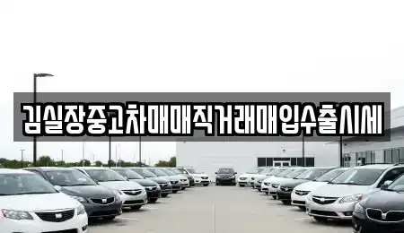 서울특별시 강서구 외발산동 중고차 전문 김실장중고차매매직거래매입수출시세