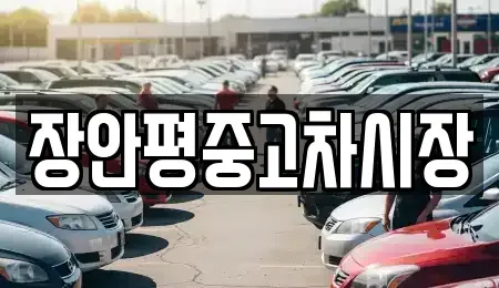 서울특별시 강서구 외발산동 중고차 전문 장안평중고차시장