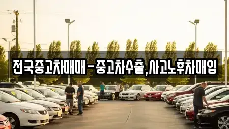 서울특별시 강서구 외발산동 중고차 전문 전국중고차매매-중고차수출,사고노후차매입