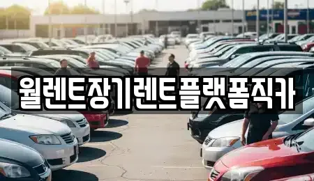 서울특별시 도봉구 창동 장기렌트카 전문 월렌트장기렌트플랫폼직카