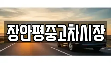 서울특별시 도봉구 창동 중고차 전문 장안평중고차시장