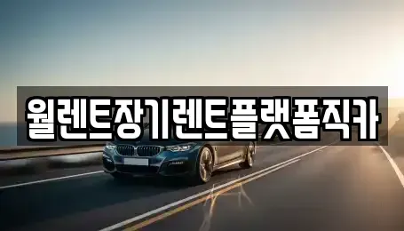 서울특별시 마포구 중동 장기렌트카 전문 월렌트장기렌트플랫폼직카