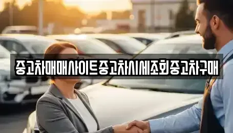 서울특별시 마포구 중동 중고차매매 전문 중고차매매사이트중고차시세조회중고차구매