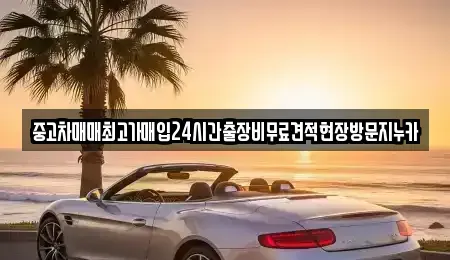 서울특별시 마포구 중동 중고차매매 전문 중고차매매최고가매입24시간출장비무료견적현장방문지누카