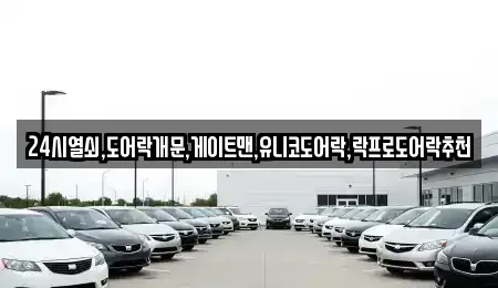 서울특별시 마포구 중동 중고차매입 전문 24시열쇠,도어락개문,게이트맨,유니코도어락,락프로도어락추천