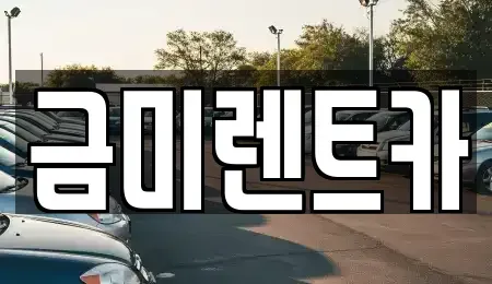 서울특별시 영등포구 양평동4가 렌트카 전문 금미렌트카