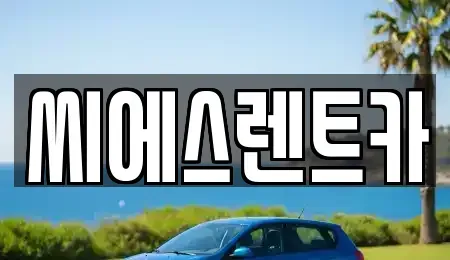 서울특별시 용산구 한남동 렌트카 전문 씨에스렌트카