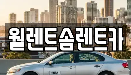 서울특별시 용산구 한남동 렌트카 전문 월렌트솜렌트카