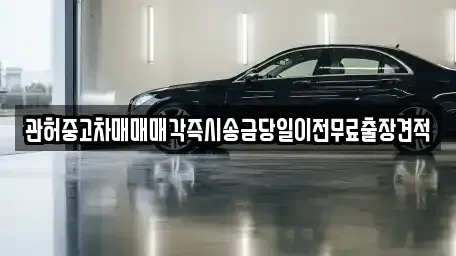 서울특별시 용산구 한남동 중고차매매 전문 관허중고차매매매각즉시송금당일이전무료출장견적