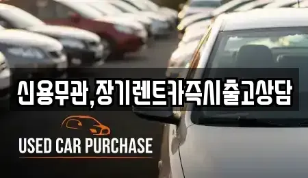 서울특별시 은평구 대조동 장기렌트카 전문 신용무관,장기렌트카즉시출고상담