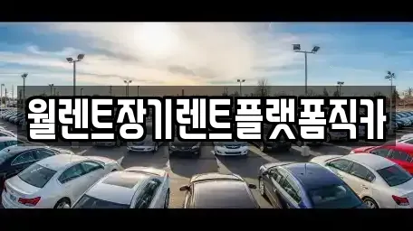 서울특별시 은평구 대조동 장기렌트카 전문 월렌트장기렌트플랫폼직카