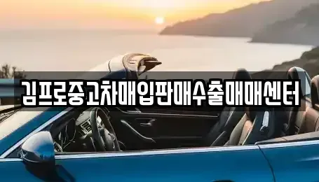 서울특별시 은평구 대조동 중고차 전문 김프로중고차매입판매수출매매센터