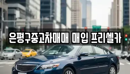 서울특별시 은평구 대조동 중고차 전문 은평구중고차매매 매입 프리셀카