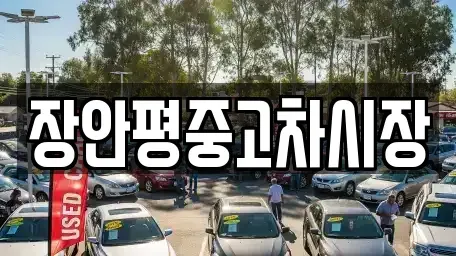 서울특별시 은평구 대조동 중고차,렌트카,중고차매입,중고차매매,장기렌트카,단기렌트카