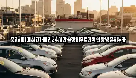 서울특별시 은평구 대조동 중고차 전문 중고차매매최고가매입24시간출장비무료견적현장방문지누카
