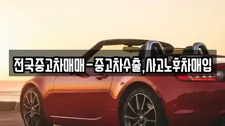 서울특별시 은평구 대조동 중고차매입 전문 전국중고차매매-중고차수출,사고노후차매입