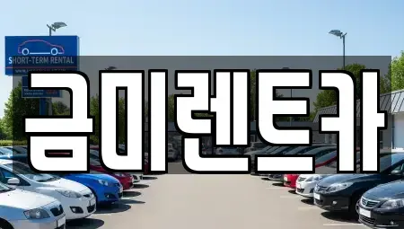 서울특별시 종로구 혜화동 렌트카 전문 금미렌트카