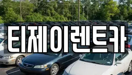 서울특별시 종로구 혜화동 렌트카 전문 티제이렌트카